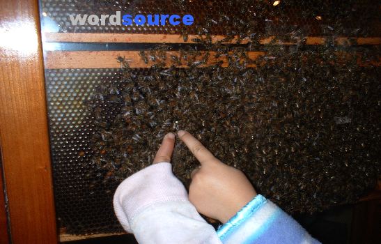 This one is my favorite... no, no. This one.