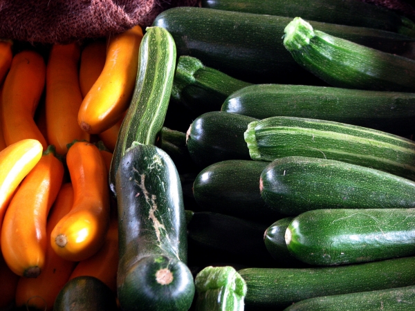 Add a snazzy description for your photo here.