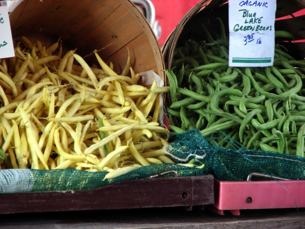 Add a snazzy description for your photo here.