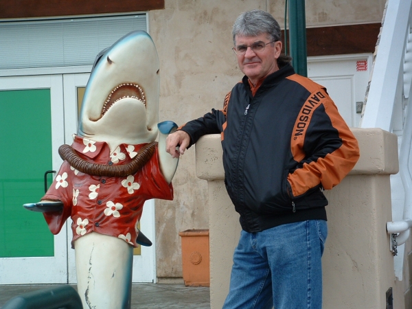 swimming with sharks cancels your aspirations!